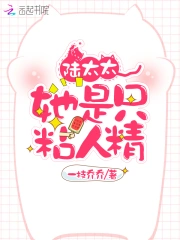 陆太太她是只粘人精